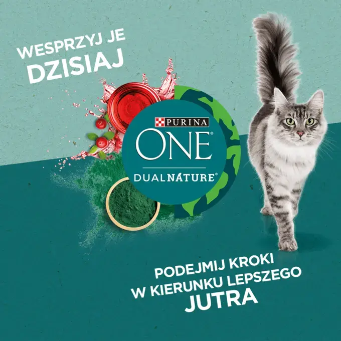 Purina ONE® DualNature™ Spirulina Adult z kurczakiem | PURINA